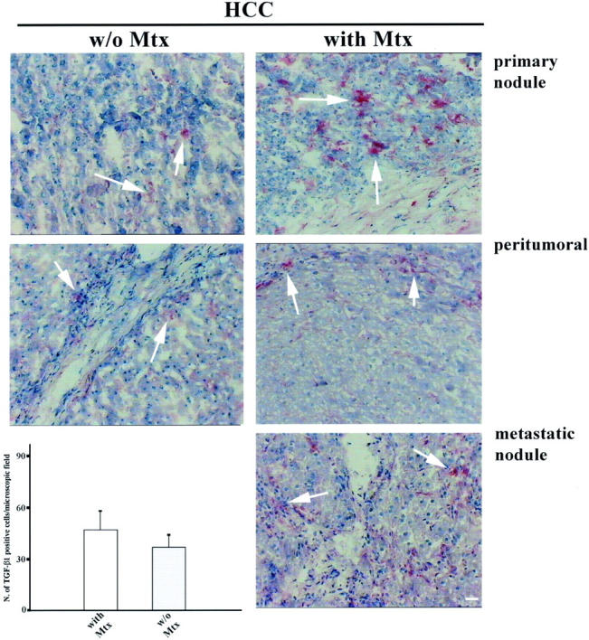 Figure 12.