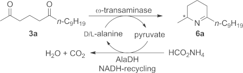 Scheme 2