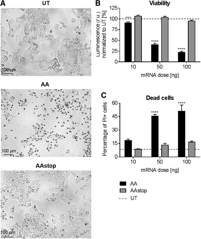 Figure 4