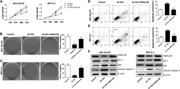 Figure 7