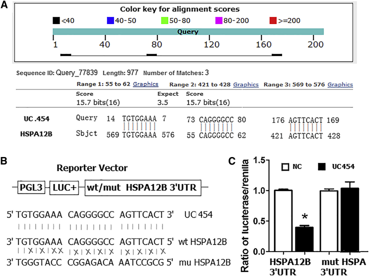 Figure 4