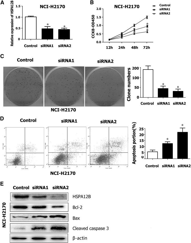 Figure 6