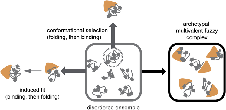 Figure 7