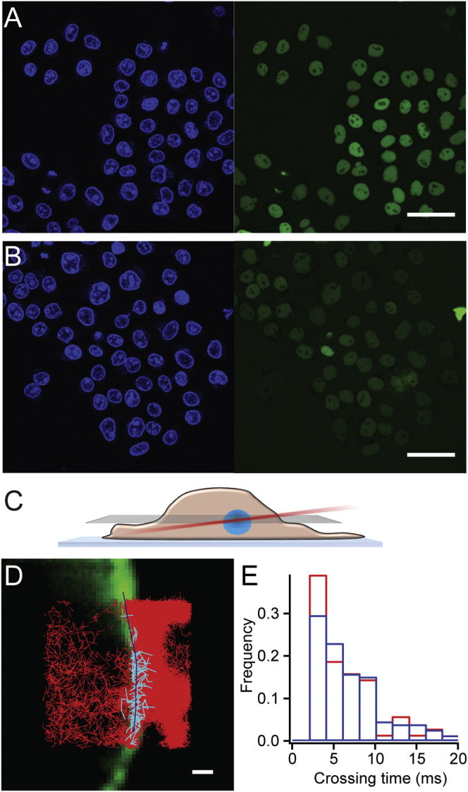 Figure 6