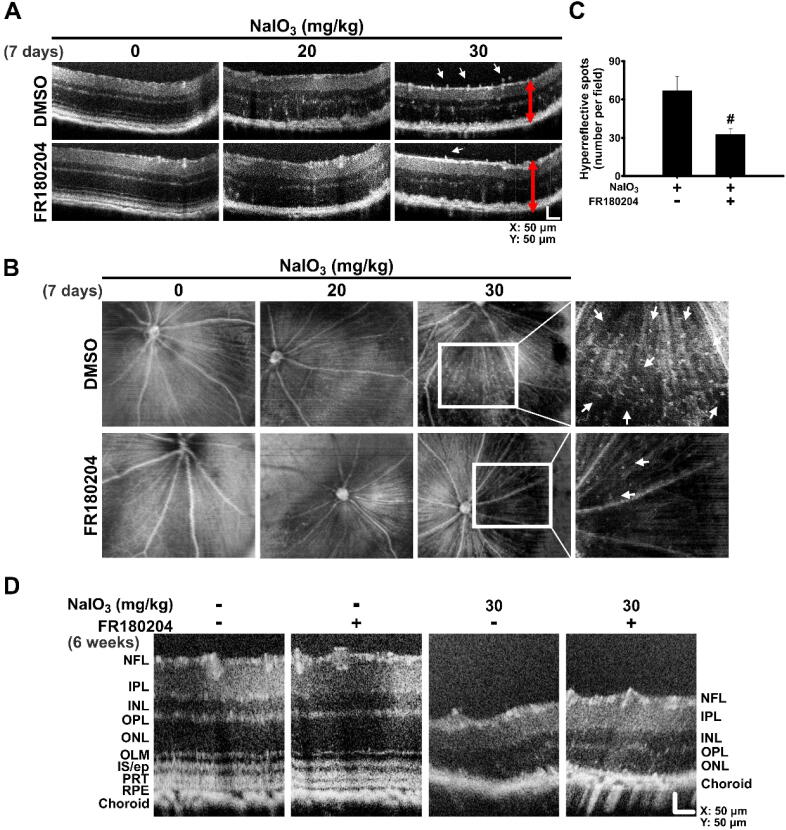 Fig. 9