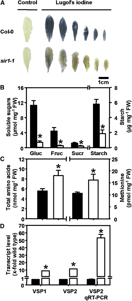 Figure 5.