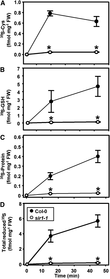 Figure 7.