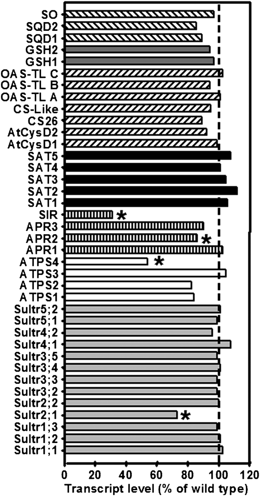 Figure 9.