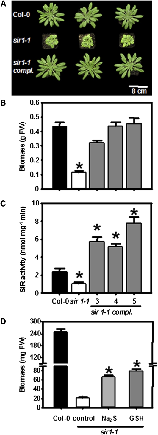 Figure 3.