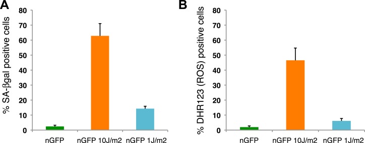 Figure 3—figure supplement 1.