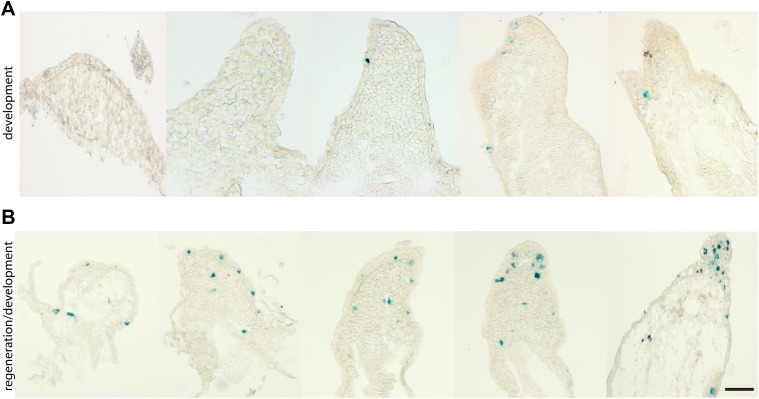 Figure 2—figure supplement 2.