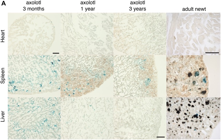 Figure 2—figure supplement 3.