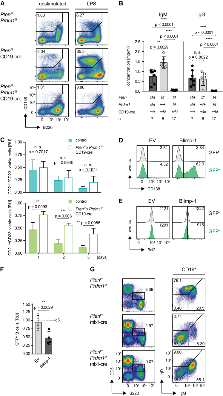 Figure 6