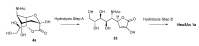 Scheme 16
