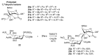 Scheme 5