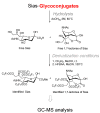 Scheme 15