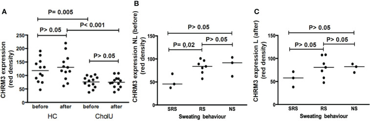 Figure 3