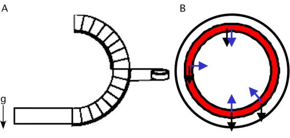 Figure 8.