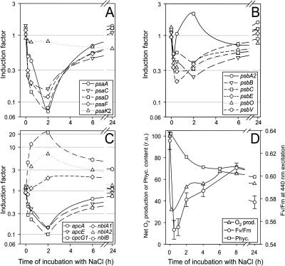 Figure 5.