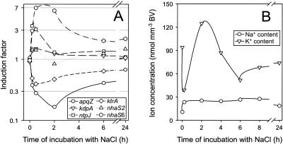 Figure 4.