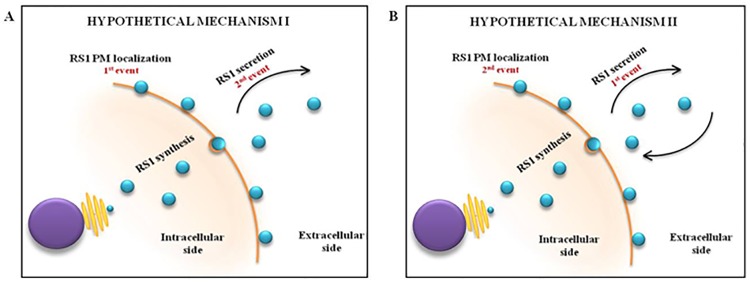 Fig 6