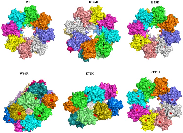 Fig 3