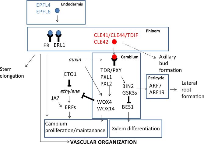 Figure 7. 