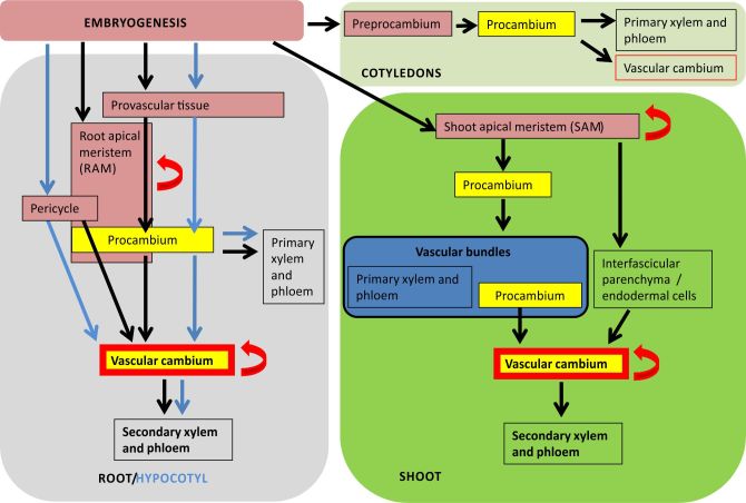 Figure 3. 