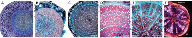 Figure 11. 