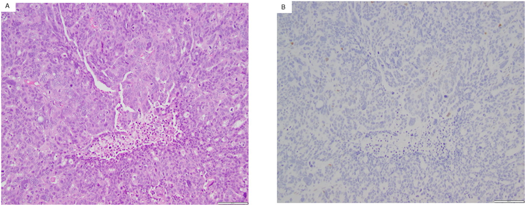 Figure 2: