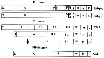 FIG. 5