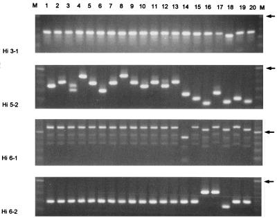 FIG. 6