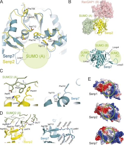 FIGURE 4.