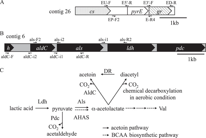 Fig 1