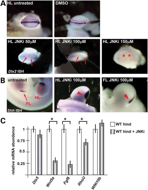 Figure 6.