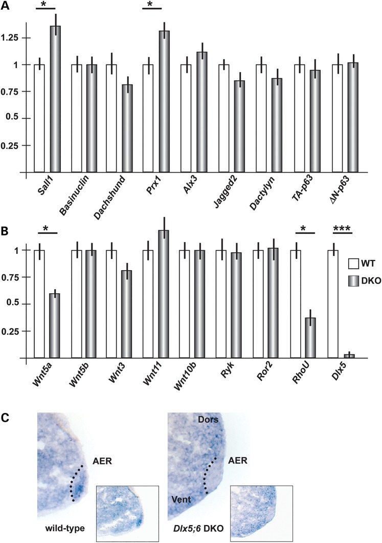 Figure 2.