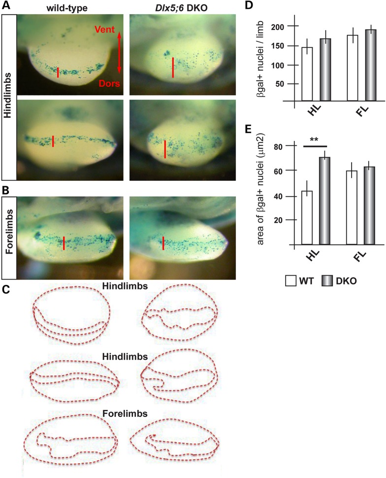 Figure 3.