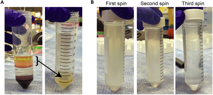 Figure 3