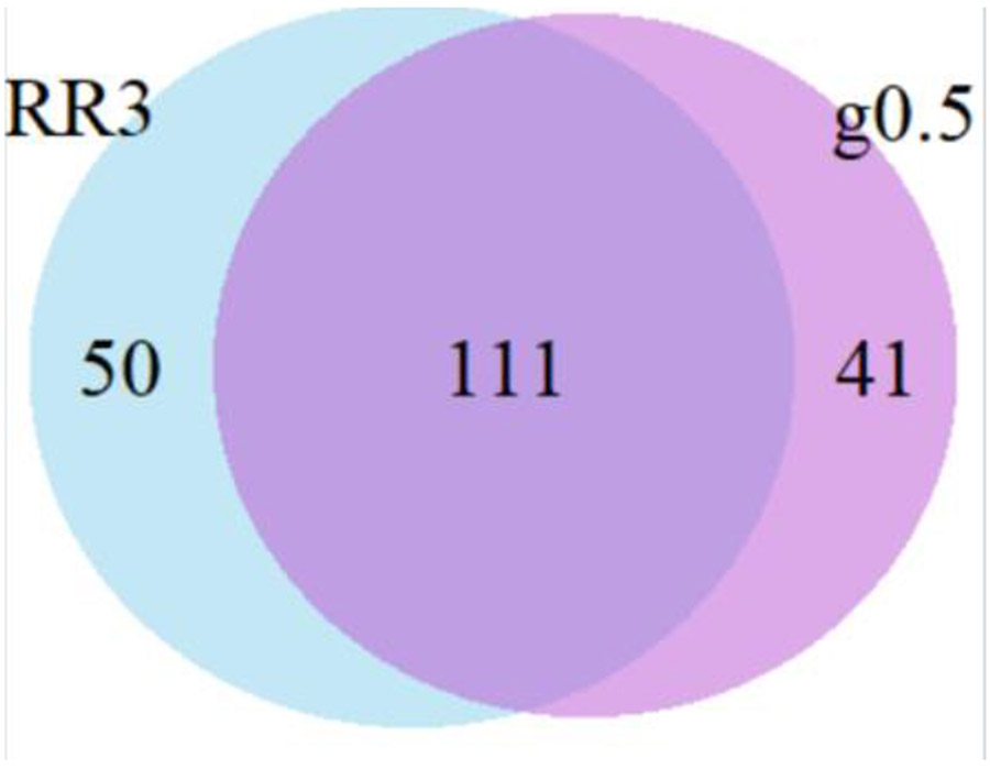 Figure 4: