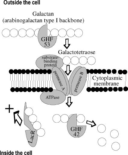 FIG. 5.