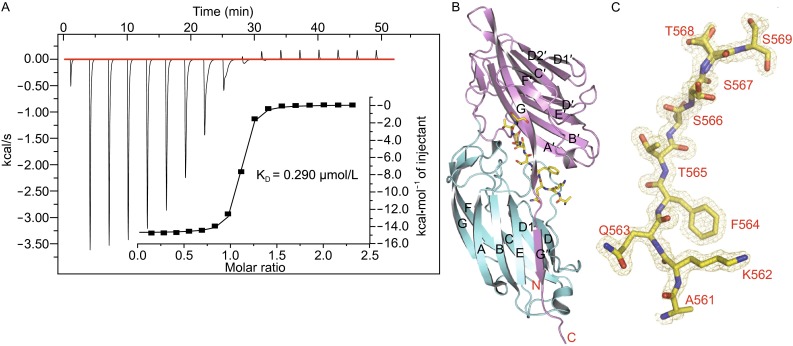 Figure 2