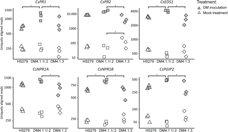 FIGURE 4