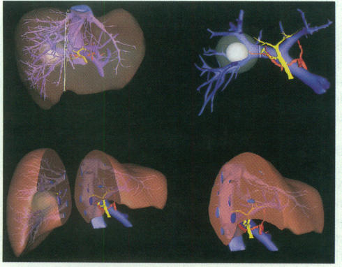 Figure 7.