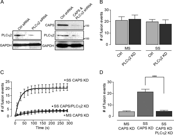 FIGURE 5: