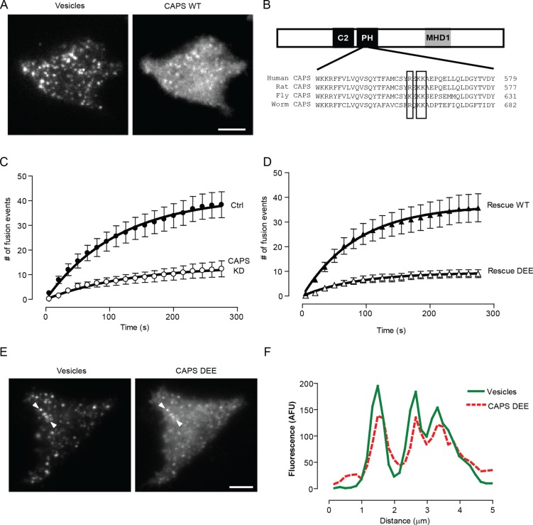 FIGURE 6: