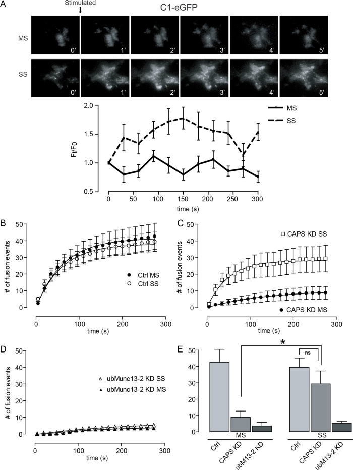 FIGURE 4: