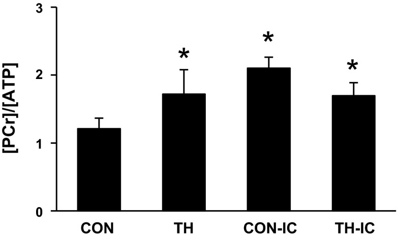 Fig. 6.