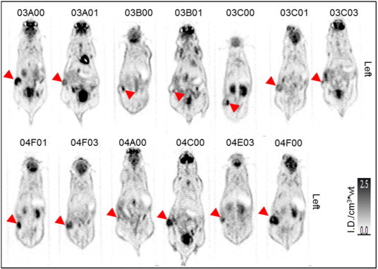 Figure 3