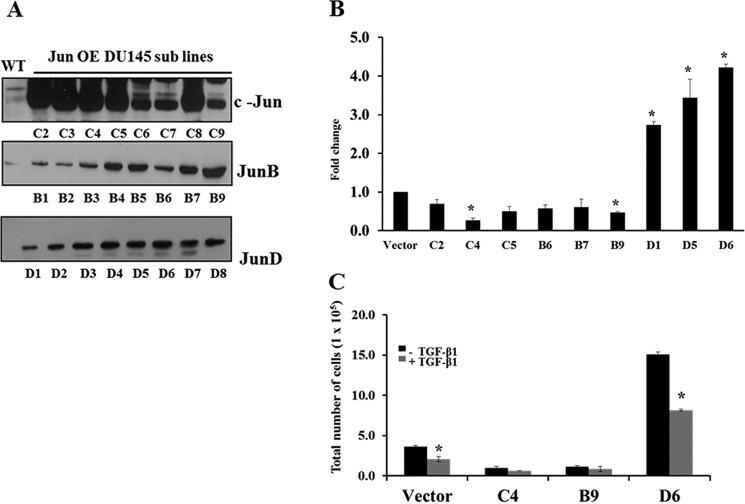 FIGURE 7.