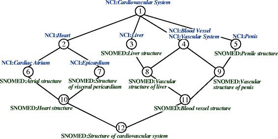 Fig. 6